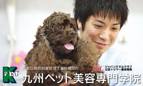 JKCトリマーと動物飼養管理士の資格を取得するなら、九州ペット美容専門学院